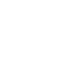 ikona-1-100x100